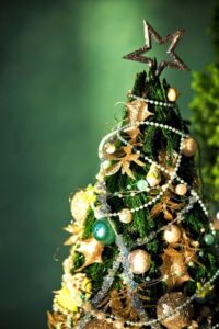 クリスマスの意義〜「国家の運命」アリス・ベイリー著より